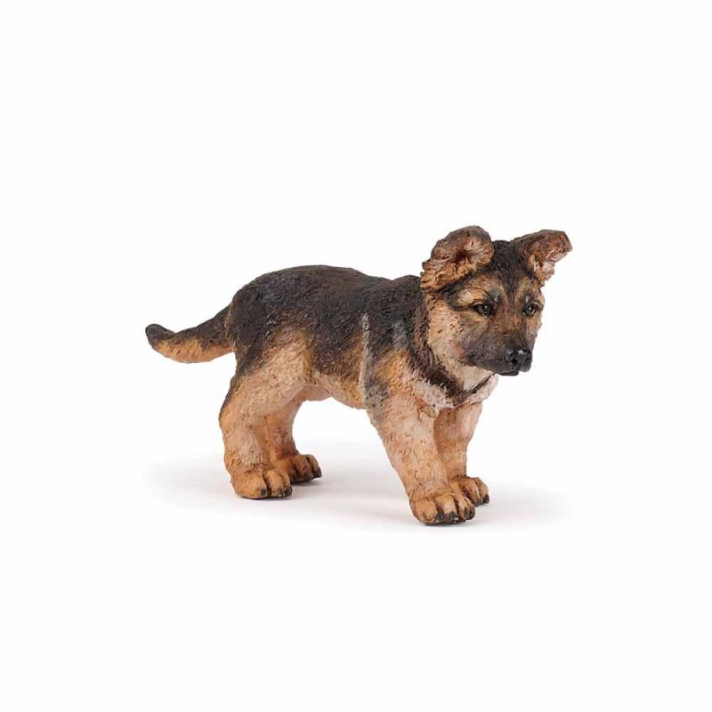 Papo - German shepherd pup