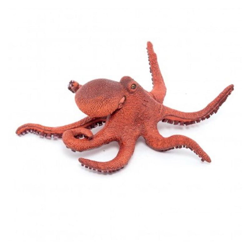 Papo - Little octopus