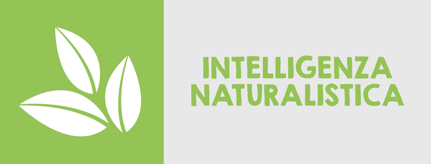 NATURALISTICA