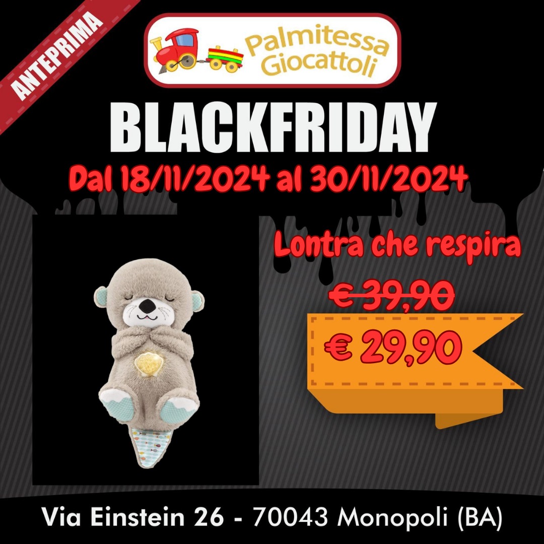 BLACK FRIDAY 2024