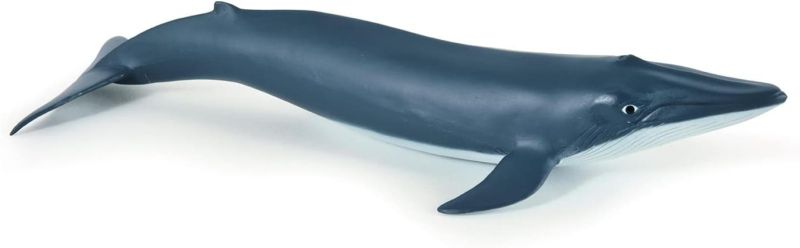 Papo -Dipinta a mano- figurina-Mondo marino-Cucciolo di balena blu-56041-Collezione -Adatto a bambini e bambine - A partire dai 3 anni di eta