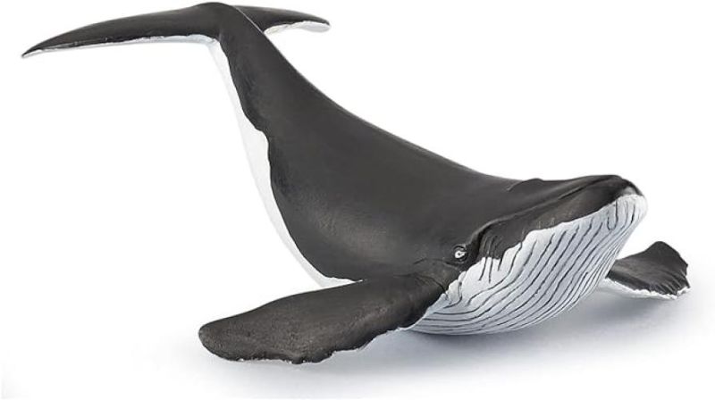 Papo -Dipinta a mano- figurina-Mondo marino-cucciolo di balena-56035-Collezione -Adatto a bambini e bambine - A partire dai 3 anni di eta