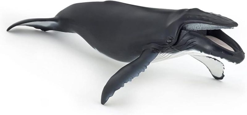 Papo 56001 Animaux Balena Megattera, Colore, Taglia Unica