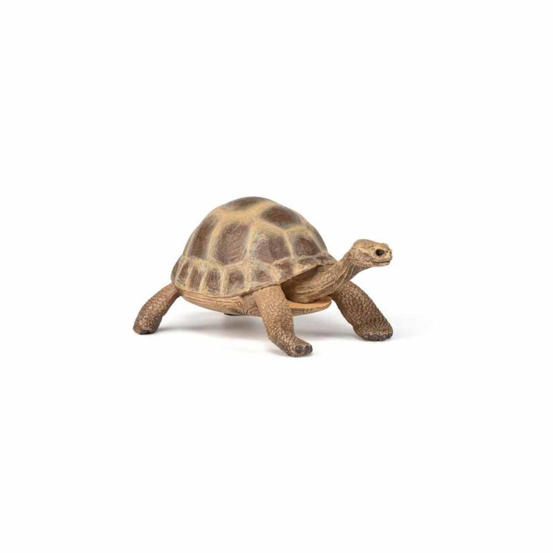 Papo - Hermann`s tortoise