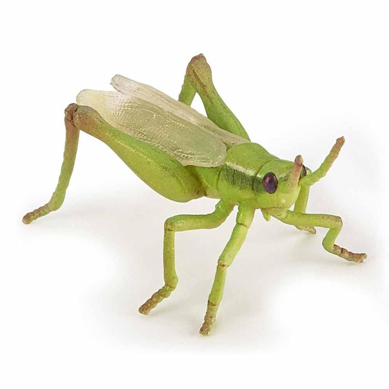 Papo - Grasshopper