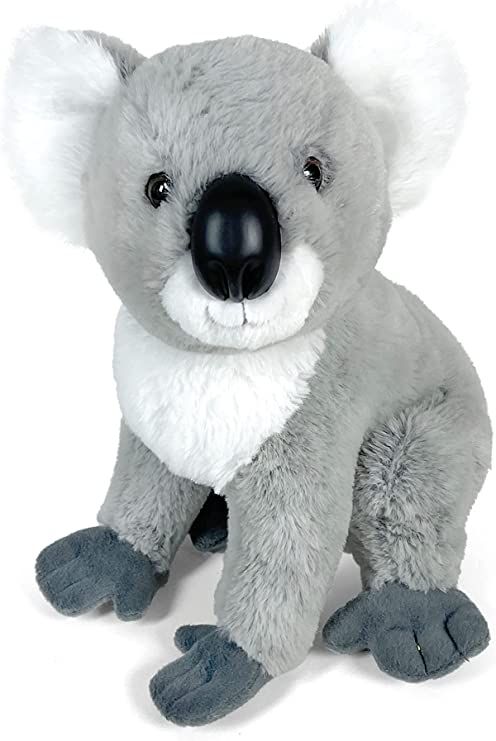 Koala Peluche Gigante Piccolo Grande 30 Cm Neonato Peluche San Valentino 30 Cm